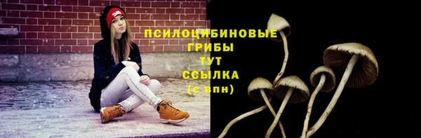 PSILOCYBIN Алзамай