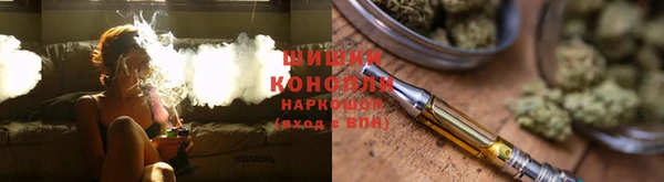 мяу мяу мука Горно-Алтайск