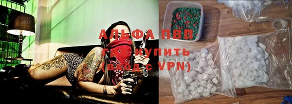 PSILOCYBIN Алзамай