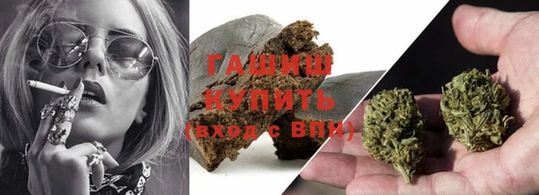 PSILOCYBIN Алзамай