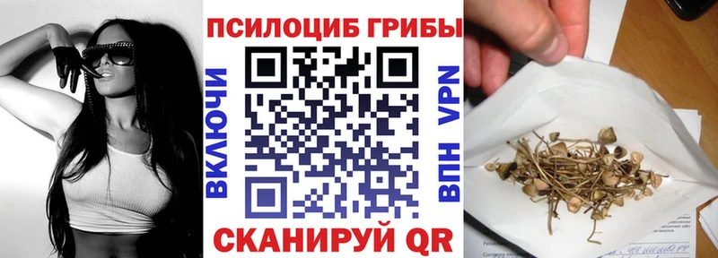 Галлюциногенные грибы Psilocybe  Глазов 